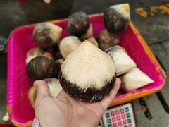 -新鸿港水果市场