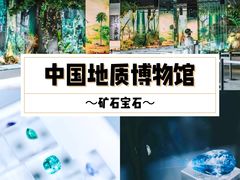 -中国地质博物馆
