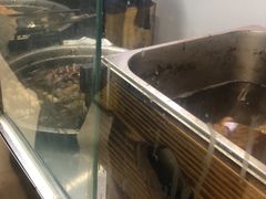 -马记大锅煮(总店)