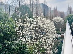 -外高桥保税区南(地铁站)