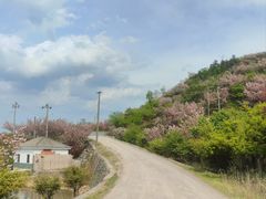 -四明山国家森林公园