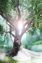 -保定金沙芝柏婚礼策划