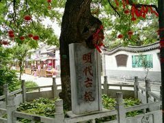 -杨家埠民间艺术大观园