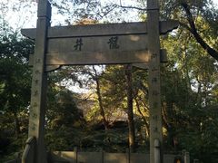 -龙井壹号·茶缘山景宴(龙井村店)