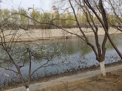 -桃花堤公园