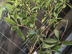 -TODAY(环城东路店)