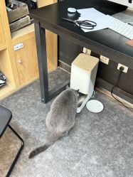 -飛凡TATTOO纹身•原创