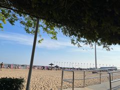 -碧海金沙