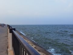 -东堤公园