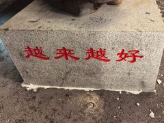 -张氏鱼庄