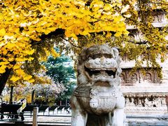 -北京石刻艺术博物馆(五塔寺)