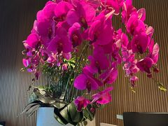 -锦州中央大街希尔顿花园酒店