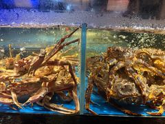 -徐记海鲜(大雁塔|金都店)