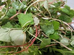 -麒麟豆汤圆子火锅(川心小区店)