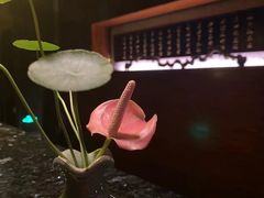 -心足私家足疗SPA(深圳湾店)
