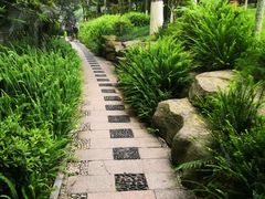 -龙头寺公园