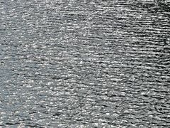 -昆山城市生态森林公园