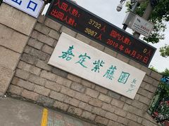 -嘉定紫藤园