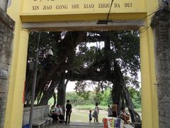 -小洲村