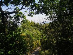 -杭州半山国家森林公园