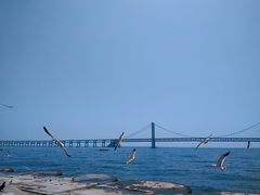 -星海广场