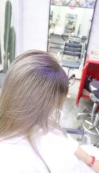-SALON V