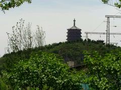 -永定河休闲森林公园