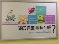 点击看大图 -赵大夫减肥
