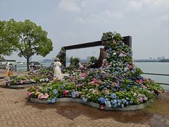 -无锡蠡湖国家湿地公园-蠡园