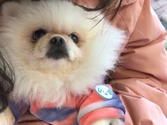 -怪兽屋·羊驼·猫咖·狗咖(俊华广场店)