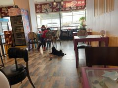 -柴源莊·柴小宠柴犬咖啡
