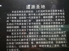 -亳州博物馆