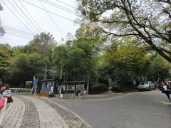 -紫金山山顶公园