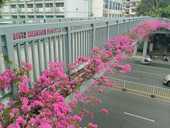 -福道
