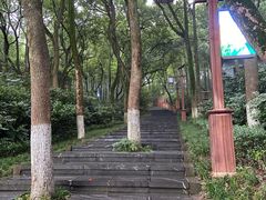 -天目湖山水园