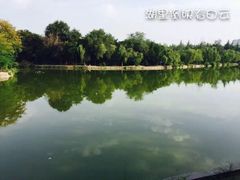 -渭滨公园