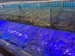 -海韵之星邮轮水会(明发商业广场店)