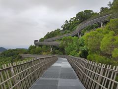 -福道
