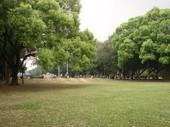 -中山大学学者灵芝(园南路店)