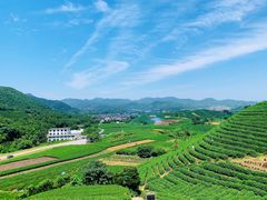 -龙坞茶村