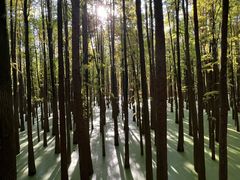 -青山湖景区