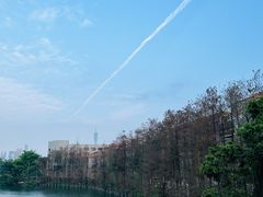 -东山湖公园