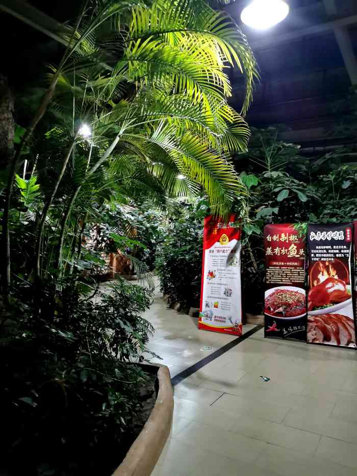 阳光绿岛生态酒店-"环境是那种人造森林的感觉,适合商业宴请.