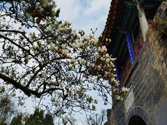 -昆明市金殿名胜区