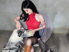 -浣熊柯尔鸭土拨鼠·电玩咖