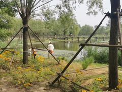 -东郊湿地公园