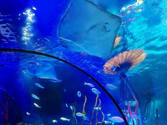 -沈阳海洋探索中心