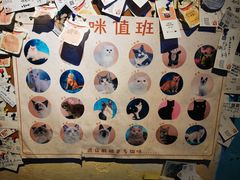 -猫小院猫主题咖啡厅(北锣店)