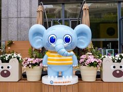 -小象润知早教·托育·幼儿园成长中心