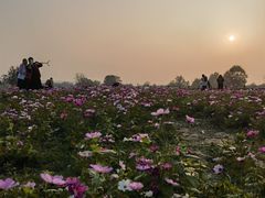 -汉长安城未央宫国家考古遗址公园